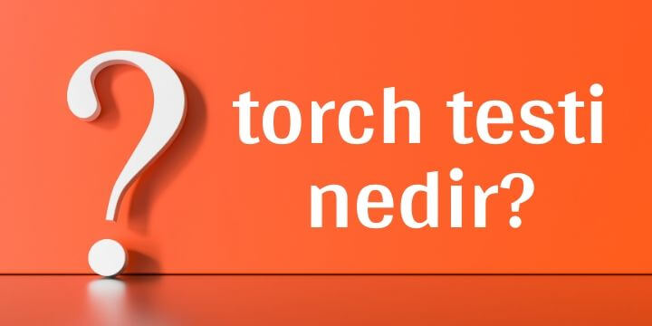 torch testi nedir